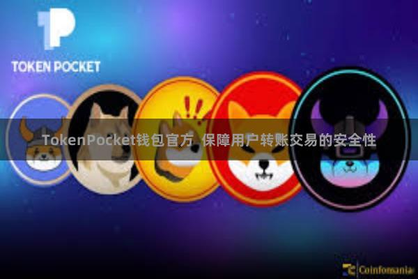 TokenPocket钱包官方  保障用户转账交易的安全性